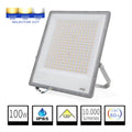 Foco Proyector LED Para Exterior IP65 100W Selector CCT