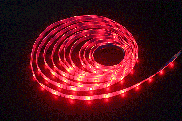 Tira LED 24V RGB IP68 - Sumergible y Flexible (5 Metros)