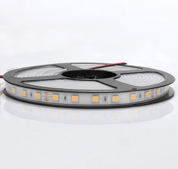 Tira LED 24V 3000K IP68 - Sumergible y Flexible (5 Metros)